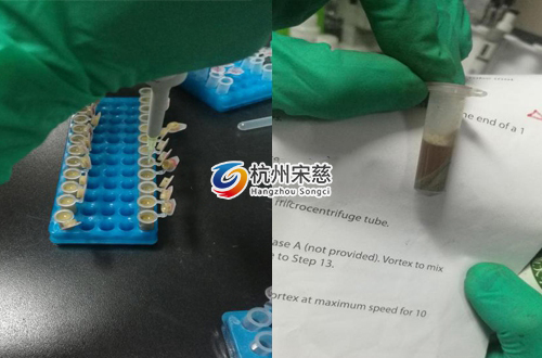 <a href=http://m.luoyaotian668.com/prouduct/lengdong/ target=_blank class=infotextkey>冷凍研磨儀</a>